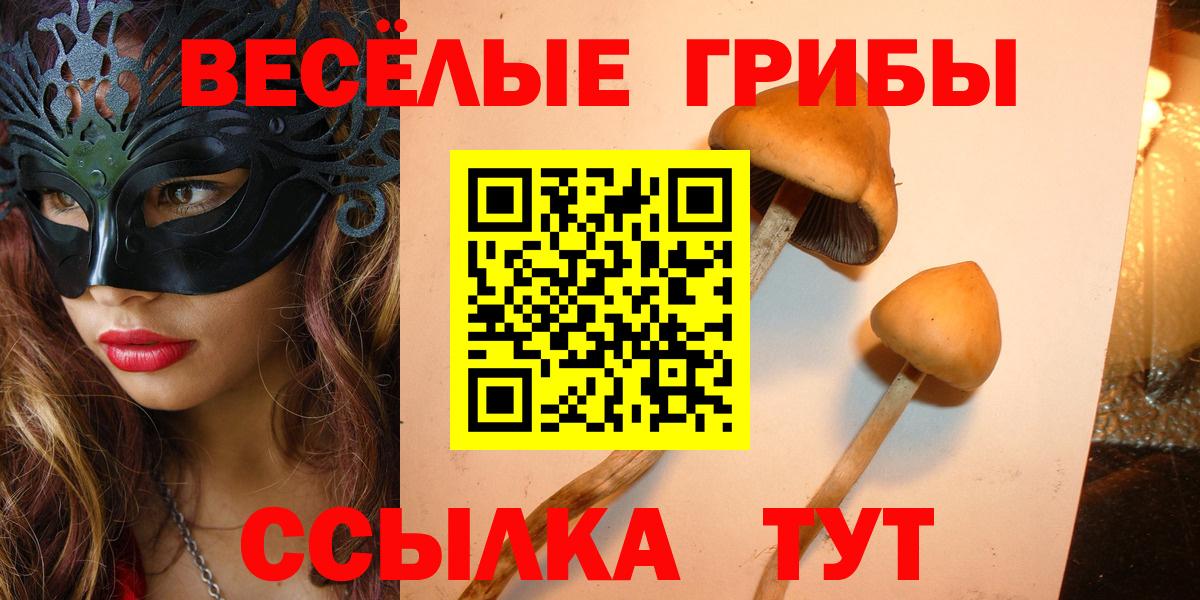 Псилоцибиновые грибы Cubensis  Псилоцибиновые грибы Magic Shrooms  Вход с VPN  Карталы 